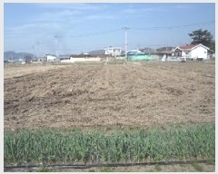  2025Ÿ��391 �泲 â�籺 ������ ���긮 795-3      ����(��)���