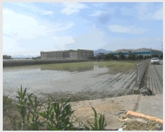  2025Ÿ513 泲 о ϳ ʸ 1346      ()