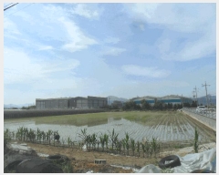  2025Ÿ513 泲 о ϳ ʸ 1346      ()