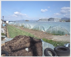  2025Ÿ513 泲 о ϳ ʸ 1346      ()