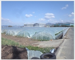  2025Ÿ513 泲 о ϳ ʸ 1346      ()