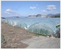  2025Ÿ513 泲 о ϳ ʸ 1346      ()