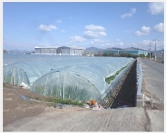  2025Ÿ513 泲 о ϳ ʸ 1346      ()