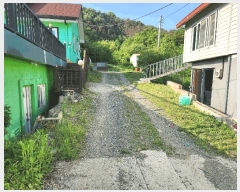  2025Ÿ612 泲 â籺 ո ︮ 311      