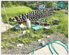  2025Ÿ612 泲 â籺 ո ︮ 311      