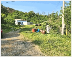  2025Ÿ612 泲 â籺 ո ︮ 311      