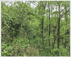  2025Ÿ��780  �����