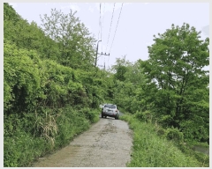  2025Ÿ��780  �����