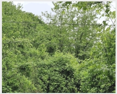  2025Ÿ��780  �����