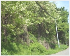  2025Ÿ��780  �����