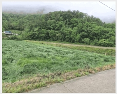  2025Ÿ��827 �泲 �о�� ���ȸ� �߻긮 825      ����(��)���