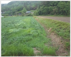  2025Ÿ��827 �泲 �о�� ���ȸ� �߻긮 825      ����(��)���