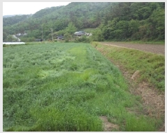  2025Ÿ��827 �泲 �о�� ���ȸ� �߻긮 825      ����(��)���