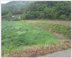  2025Ÿ��827 �泲 �о�� ���ȸ� �߻긮 825      ����(��)���