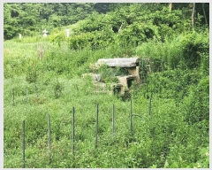  2025Ÿ��858  ����