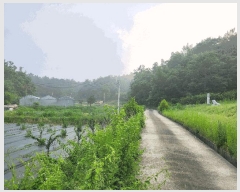  2025Ÿ��858  ����