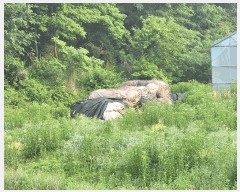  2025Ÿ��858  ����