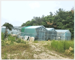  2025Ÿ��858  ����