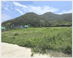  2025Ÿ889 泲 о 󳲸 ݸ 1463      (1)