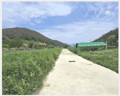  2025Ÿ889 泲 о 󳲸 ݸ 1463      (1)