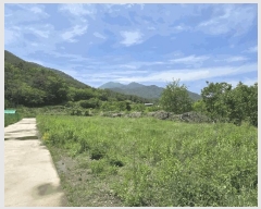  2025Ÿ889 泲 о 󳲸 ݸ 1463      (1)