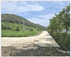  2025Ÿ889 泲 о 󳲸 ݸ 1463      (1)