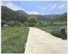  2025Ÿ889 泲 о 󳲸 ݸ 1463      (1)