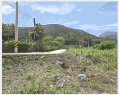  2025Ÿ889 泲 о 󳲸 ݸ 1463      (1)