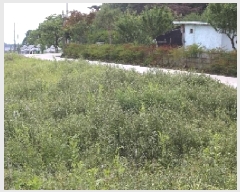  2025Ÿ889 泲 о 󳲸 ݸ 1463      (1)