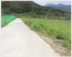  2025Ÿ889 泲 о 󳲸 ݸ 1463      (1)