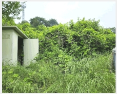  2025Ÿ��919  �����