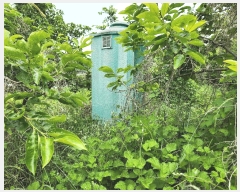  2025Ÿ��919  �����