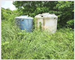  2025Ÿ��919  �����