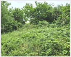  2025Ÿ��919  �����