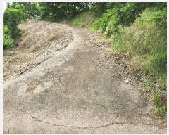  2025Ÿ��919  �����