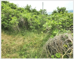  2025Ÿ��919  �����