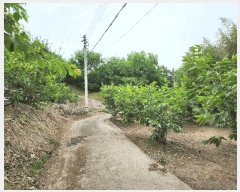  2025Ÿ��919  �����