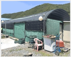  2025Ÿ957 泲 о   167-1      ()