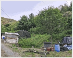  2025Ÿ1011 泲 о ȸ  614      (1)