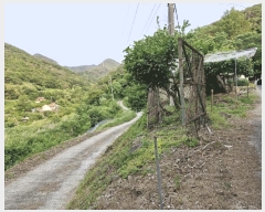  2025Ÿ1011 泲 о ȸ  614      (1)