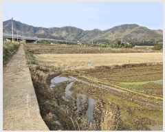  2025Ÿ1011 泲 о ȸ  614      (1)