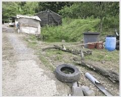  2025Ÿ1011 泲 о ȸ  614      (1)