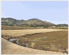  2025Ÿ1011 泲 о ȸ  614      (1)