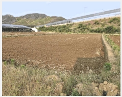  2025Ÿ1011 泲 о ȸ  614      (1)