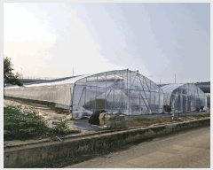  2025Ÿ1011 泲 о ȸ  614      (1)