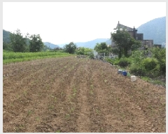  2025Ÿ��1127  ����