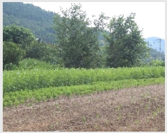  2025Ÿ��1127  ����