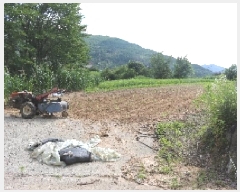  2025Ÿ��1127  ����