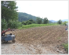  2025Ÿ��1127  ����