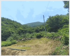  2025Ÿ��1158  ����